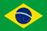 Brazil Flag